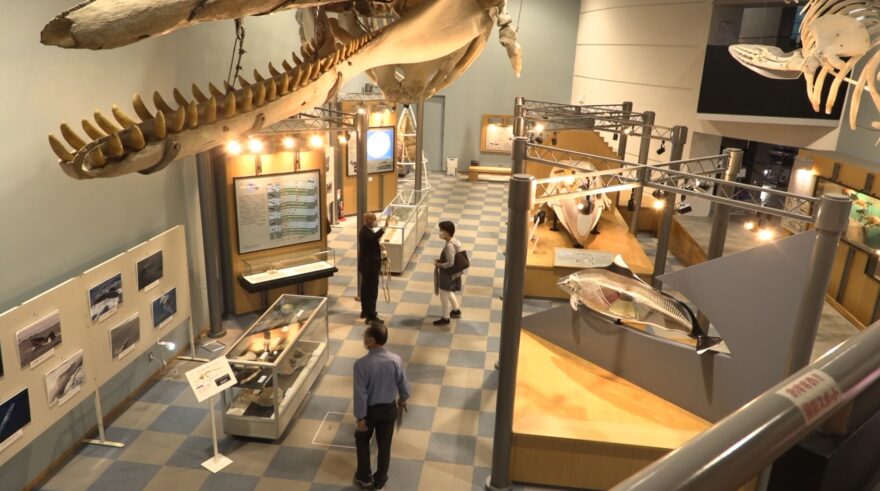 山田町～「鯨と海の科学館」が９カ月ぶりに一部再開!!