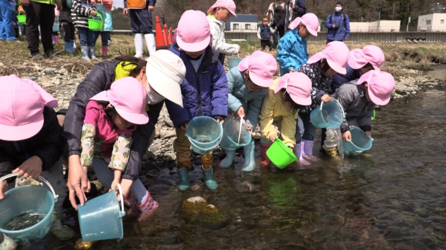 宮古発～豊漁を願って子供たちがサケ稚魚放流